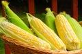 Corn basket