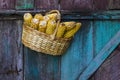 Corn basket on vintage wood background.