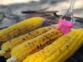 Corn bbq at the beach Royalty Free Stock Photo