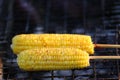 Corn on bbq Royalty Free Stock Photo