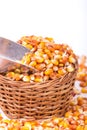 Corn beans in awooden basket Royalty Free Stock Photo