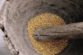 Corn being grinded with mortar and pestle made of wood to produce flour. Royalty Free Stock Photo