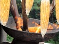 Corn being roasted on fire in traditional Indian way Royalty Free Stock Photo