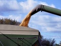 Corn being unloaded from a combine into a grain wagon