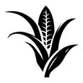 Corn black vector icon on white background