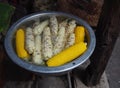 Corn boil in enamelware Royalty Free Stock Photo