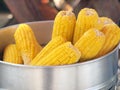 Corn boil Royalty Free Stock Photo