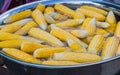 corn boil Royalty Free Stock Photo