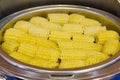 Corn boil Royalty Free Stock Photo