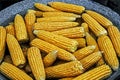 Corn boiled in a large pot Royalty Free Stock Photo