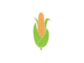 Corn, breakfast, food. Vector illustration, flat design Royalty Free Stock Photo