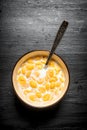Corn cereal with milk. Royalty Free Stock Photo