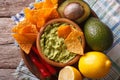 Corn chips, guacamole and ingredients closeup. horizontal top view Royalty Free Stock Photo