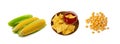 Corn Chips, Nachos Chips, Maize Snack, Corn Crisps or Totopos