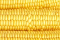 Corn close-up full frame background Royalty Free Stock Photo