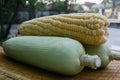 CORN,CLOSED UP AT THREE CORN WITH PEEL ON MAT