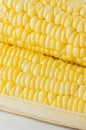 Corn closeup Royalty Free Stock Photo