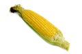 Corn cob