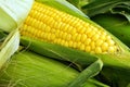 Corn Cob