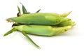 Corn on the cob Royalty Free Stock Photo