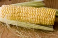 Corn cob Royalty Free Stock Photo