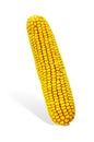 Corn Cob