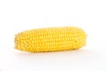 Corn on the Cob Royalty Free Stock Photo