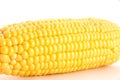 Corn on the Cob Royalty Free Stock Photo