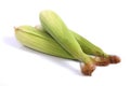 Corn on the Cob Royalty Free Stock Photo