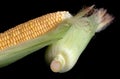 Corn cob on black background