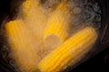 Corn on the cob boiling in water Royalty Free Stock Photo