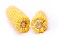 Corn cob Royalty Free Stock Photo