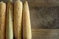 Corn on the cob. Royalty Free Stock Photo