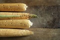 Corn on the cob. Royalty Free Stock Photo