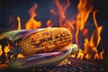 Corn on the cob cooking on a fiery BBQ grill