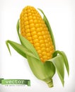 Corn cob. Vector icon