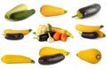 Corn on the cob garlic pink tomato black aubergine and the courgettes Golden and green hues