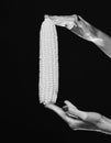 Corn cob in girls fingers. Female hand holds corn