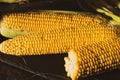 Corn on the cob. Golden corn close up. Autumn harvesting. Corn seeds in sunlight. Organic vegetables. Ripe sweetcorn. Royalty Free Stock Photo