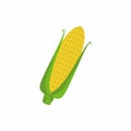 Corn cob in a green husk. Sweet golden corn isolated on white background. Healthy vegetable. Freshly picked plant flat vector Royalty Free Stock Photo