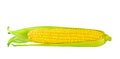 Corn cob with green leaves isolated on white background with clipping path Royalty Free Stock Photo