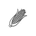 Corn cob hand drawn sketch icon. Royalty Free Stock Photo