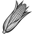 Corn on the Cob Illustration