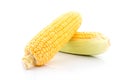 corn cob isolated on white background with. with green leaves Royalty Free Stock Photo