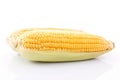 corn cob isolated on white background with. with green leaves Royalty Free Stock Photo