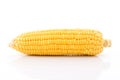 corn cob isolated on white background with. with green leaves Royalty Free Stock Photo