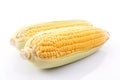 corn cob isolated on white background with. with green leaves Royalty Free Stock Photo