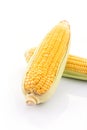 corn cob isolated on white background with. with green leaves Royalty Free Stock Photo