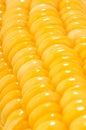 Corn cob macro Royalty Free Stock Photo