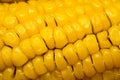 Corn Cob Macro Royalty Free Stock Photo